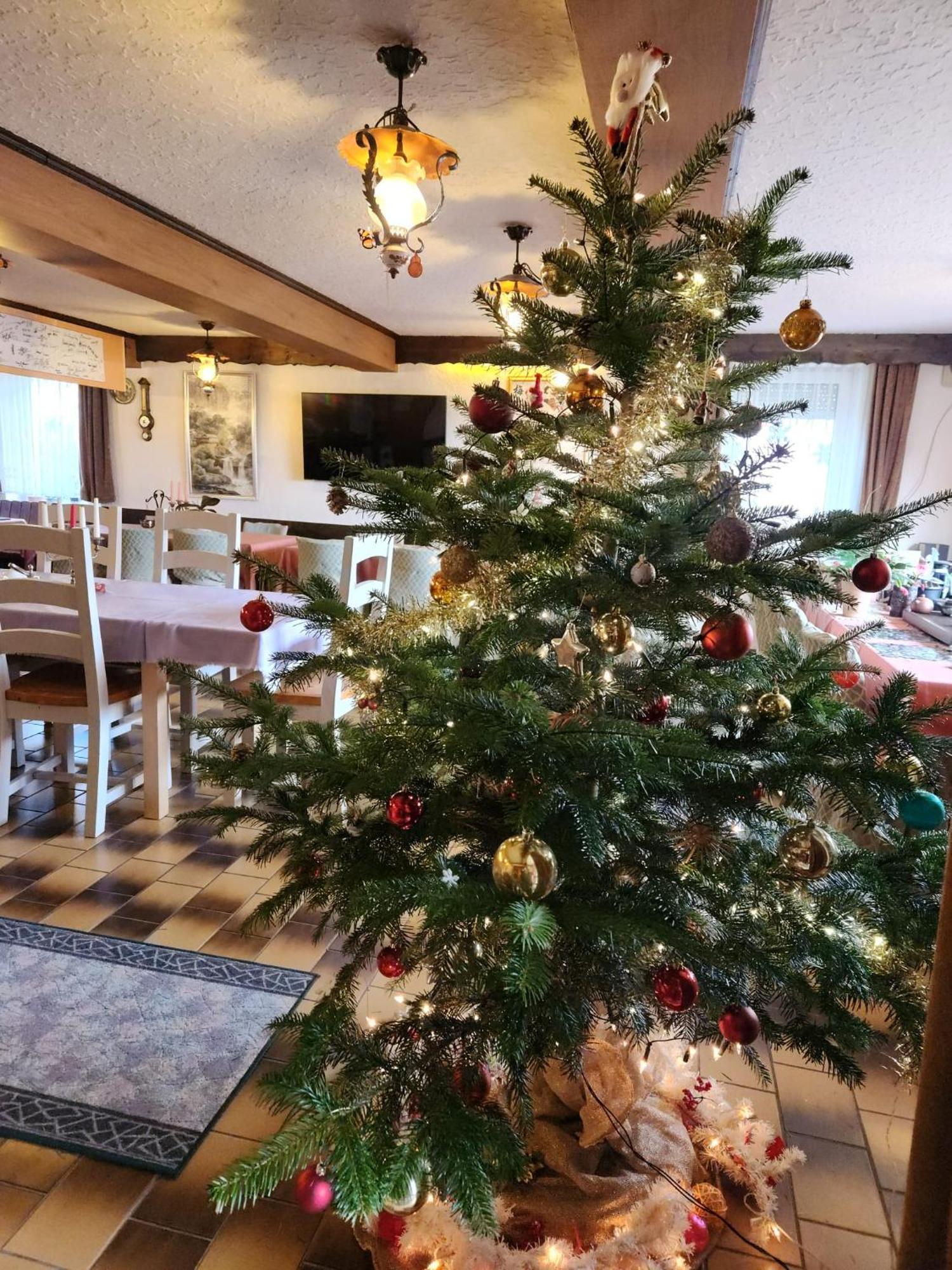 Gasthaus Hochwald Hattgenstein Екстер'єр фото